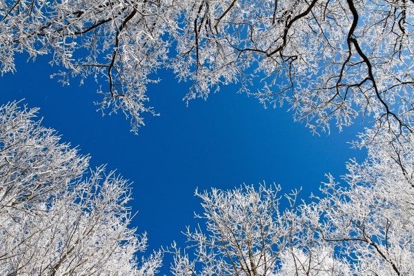 Wird Es Weihnachten 2022 Schnee Geben Hoffen auf Schnee Ab nächster Woche wird es wärmer Wien Aktuell
