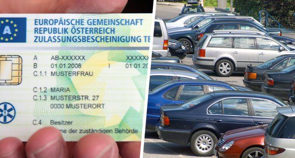 partnerbörse österreich vergleich