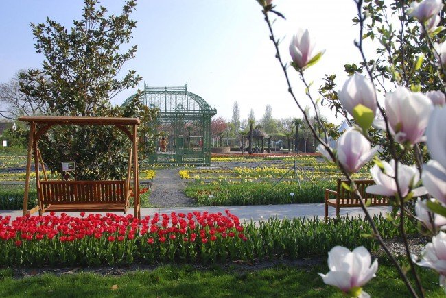 Das vielfältige Angebot der Blumengärten Hirschstetten - Vienna Online