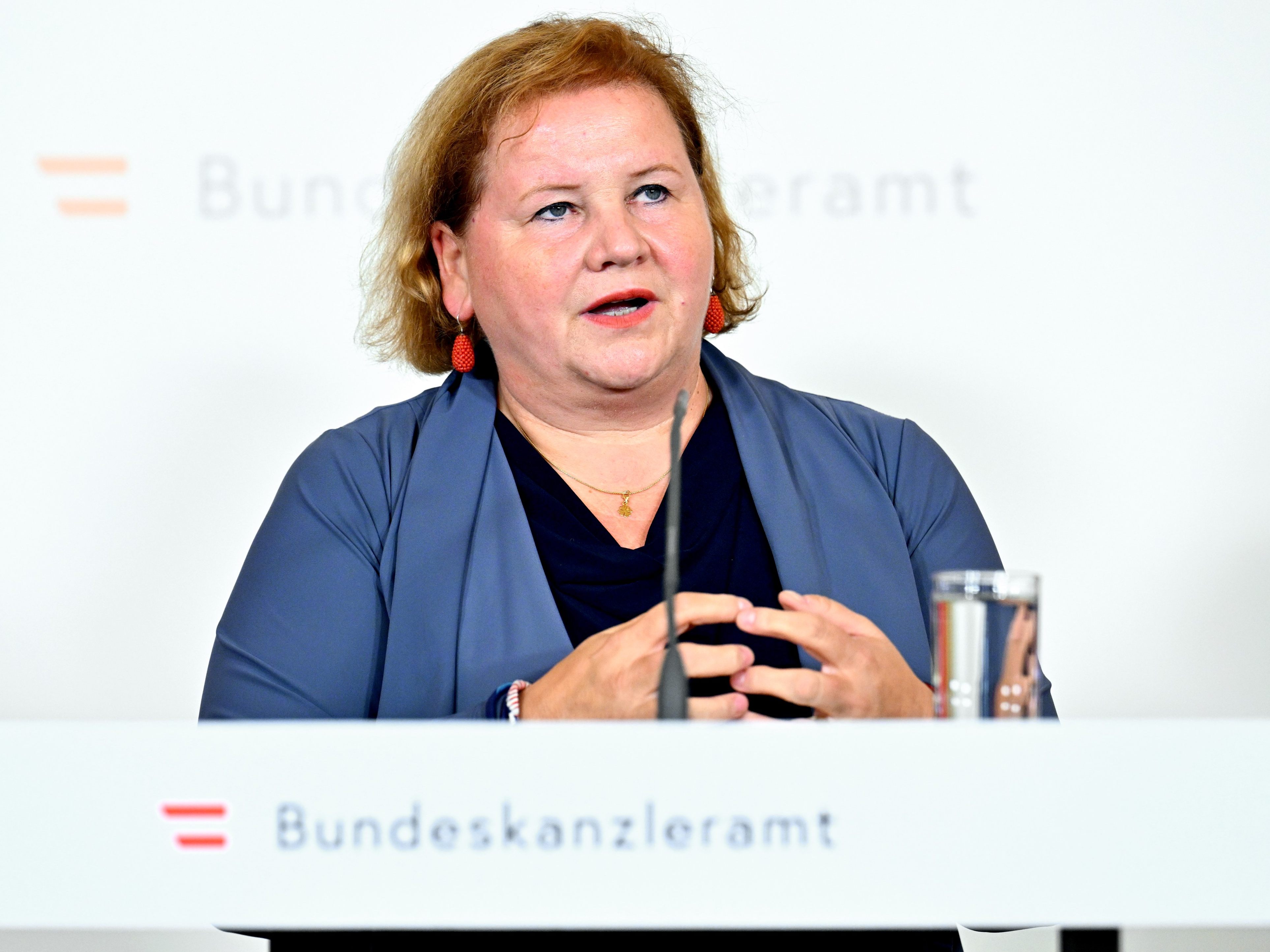 Korinna Schumann sprach von einem wichtigen Schutz für freie Dienstnehmer.
